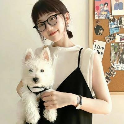 公主请回家