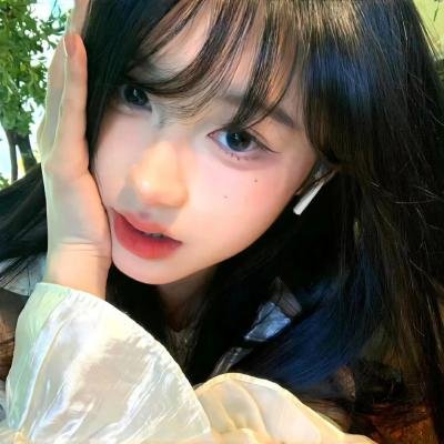 蔡李佛拳